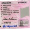 Swedish driver's license